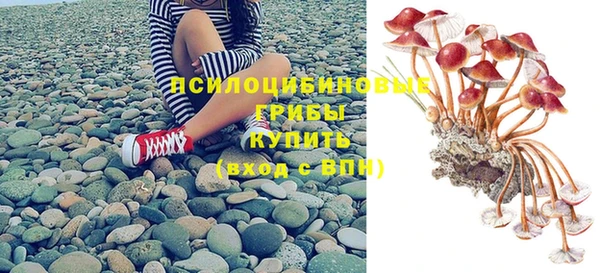 МДПВ Нязепетровск