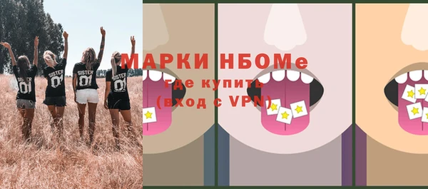 тгк Няндома