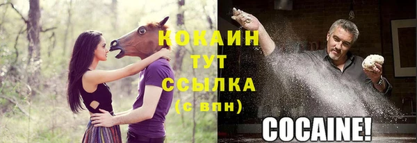 тгк Няндома