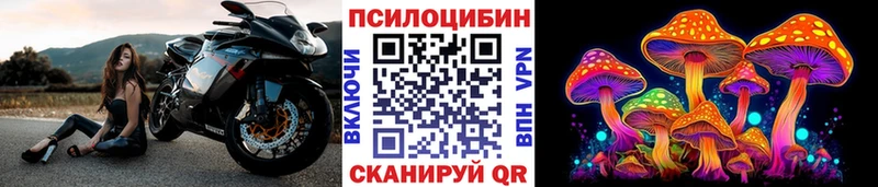 Купить закладки  Камбарка  Псилоцибиновые грибы Psilocybine cubensis 